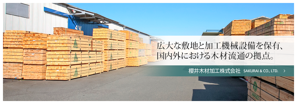 広大な敷地と加工機械設備を保有、国内外における木材流通の拠点。櫻井木材加工株式会社 SAKURAI & CO., LTD.